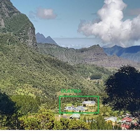 Olatika - Le Retour Aux Sources Otel Cilaos Dış mekan fotoğraf